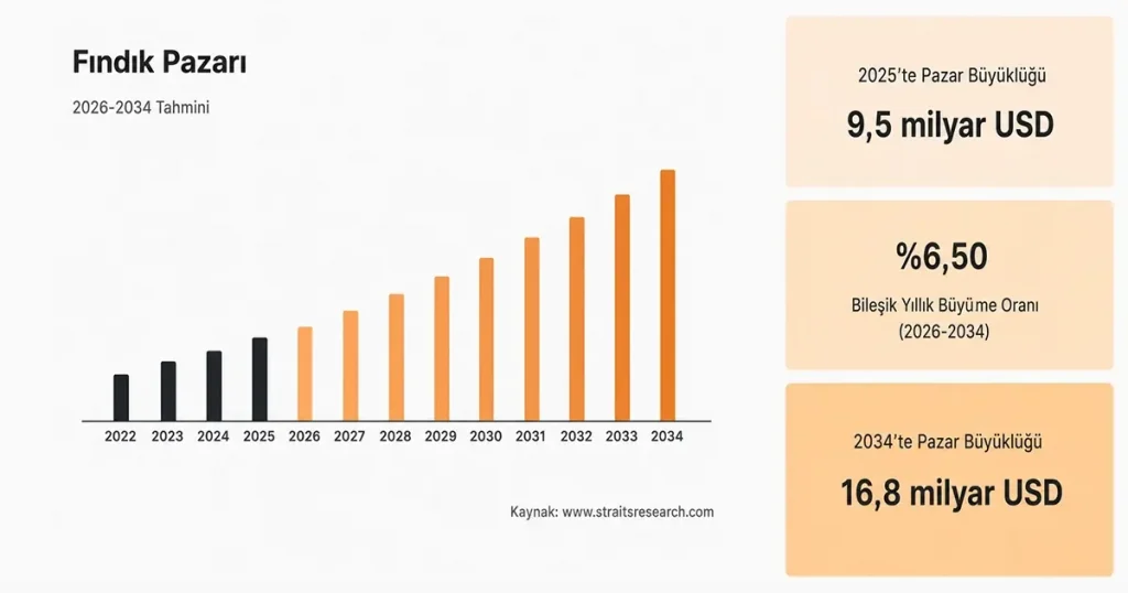  Bu coğrafi avantaj, e-ticaret girişimcileri için kesintisiz ve kaliteli tedarik imkanı anlamına gelir. Küresel fındık pazarının büyüklüğü 2025 yılında 9.5 milyar dolar olarak ölçülmüş olup, bu rakamın 2034 yılına kadar 16.8 milyar dolara ulaşması beklenmektedir.